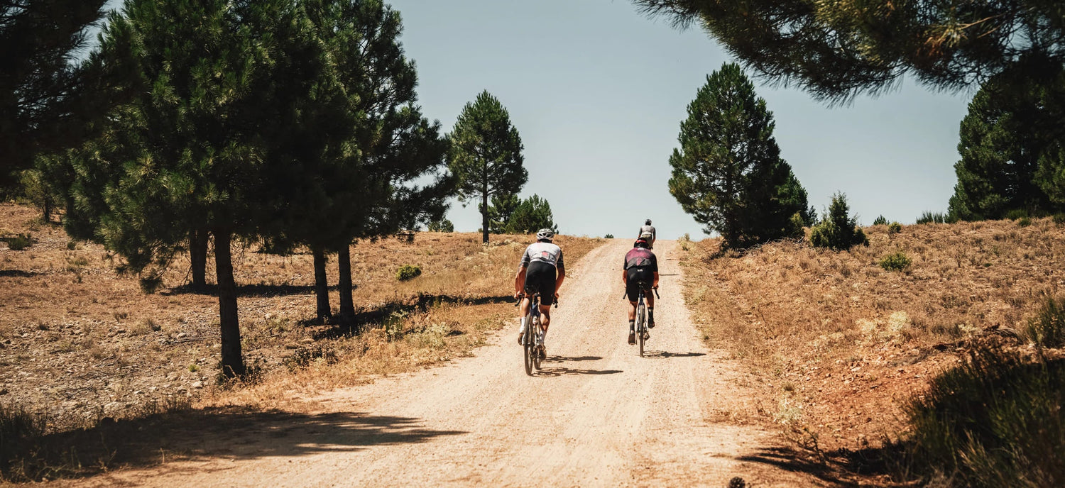 Bicicletas > Gravel > Allroad