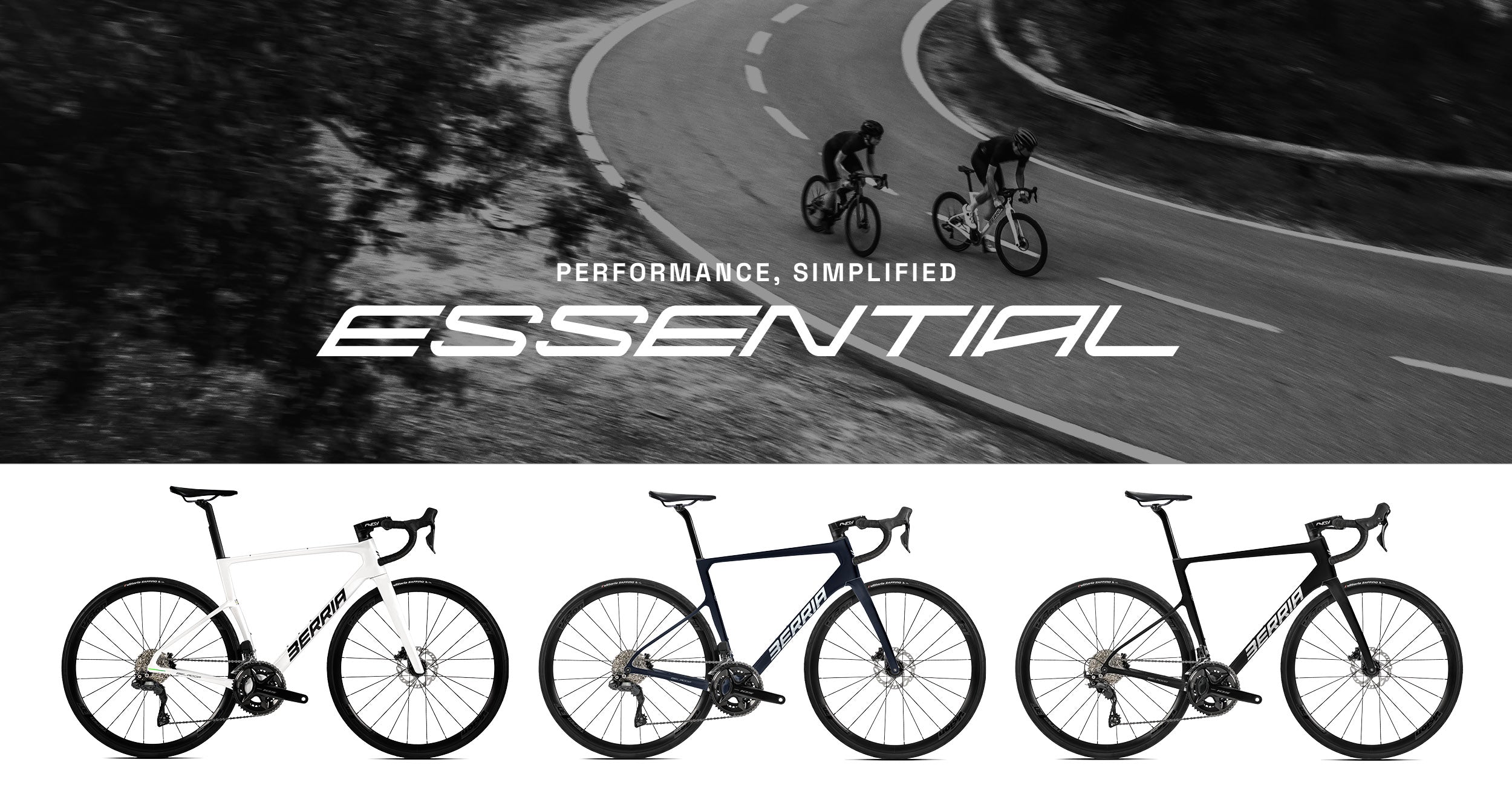 Congratulations world champions banner