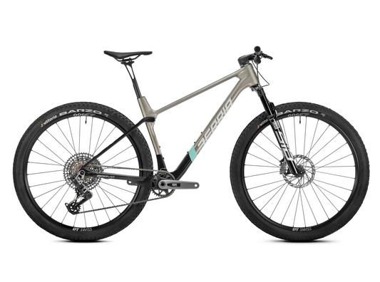 BRAVO PRO S1000 AXS